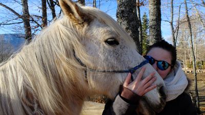 Activités équestres : balade avec des poneys et des chevaux