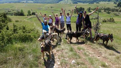 Découverte de la cani-randonnée, une randonnée ludique et unique