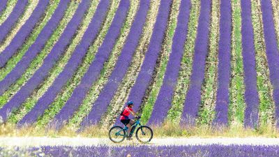 Vélo électrique, VTT (électrique), trottinette tout terrain