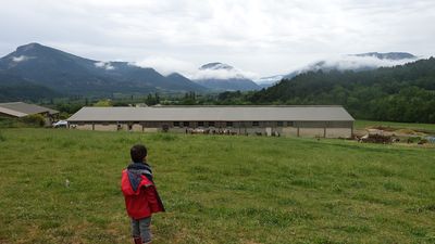 Des chèvres, des ânes, des cochons, des lapins…