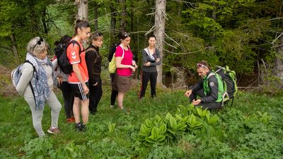 En autonomie ou avec un guide à la découverte des castors, des vautours, des étoiles, des plantes…