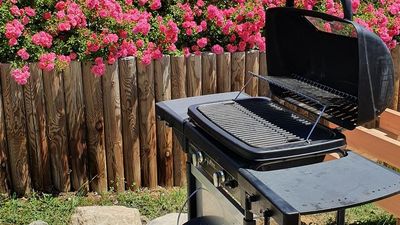 Savourer un bon barbecue